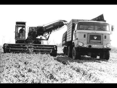 Landwirtschaft früher - Ernte in der DDR