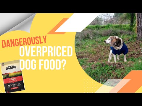 Acana Dog Food: Good for Senior Dogs?