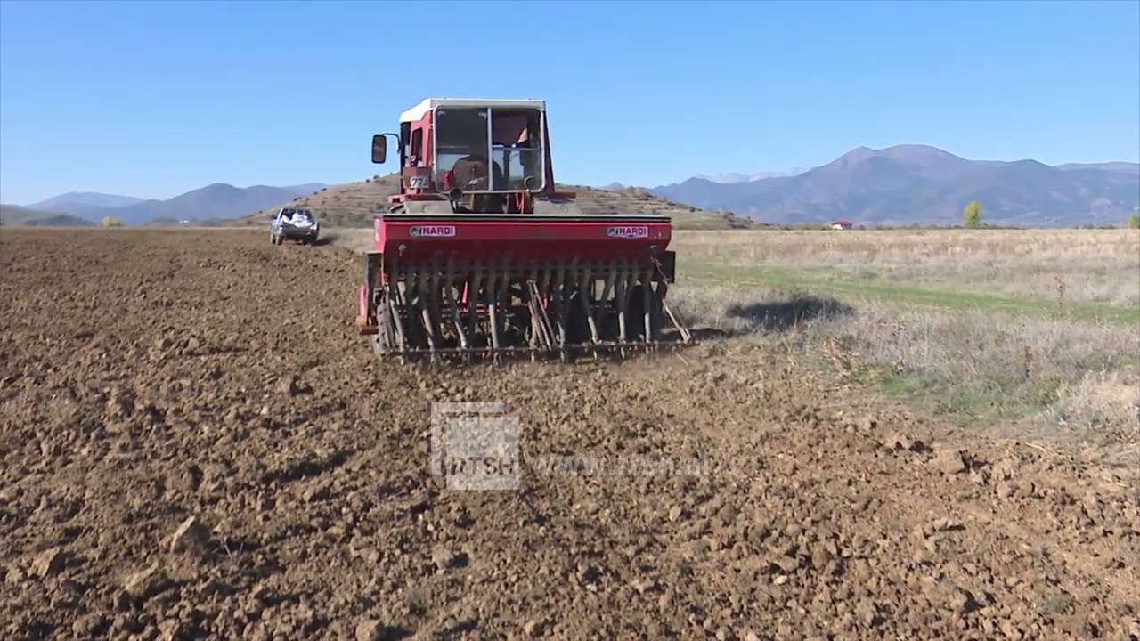Nisin mbjelljet pranverore – Fermerët e Maliqit kërkojnë më shumë mbështetje për naftën
