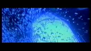 Blue Nature - A Life So Changed (Dance mix)