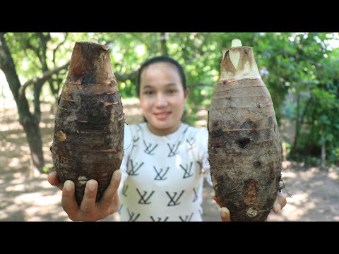 Tasty Taro Root Recipe / How To Make Taro Root Dessert At Home / Prepare By Countryside Life TV.