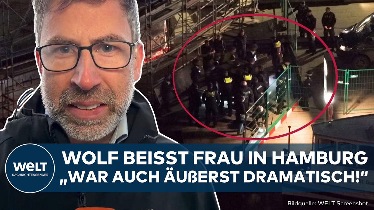 HAMBURG: Wolf beißt Frau ins Gesicht! Erste Details! Polizei fängt Wolf in Altona ein