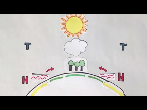 Der Passatkreislauf - Erklärvideo einer 8. Klasse  (1)
