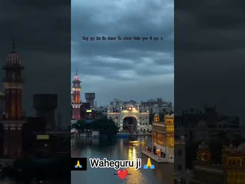 amritsar sahib #short video