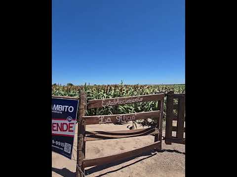 San Jerónimo del Sauce.