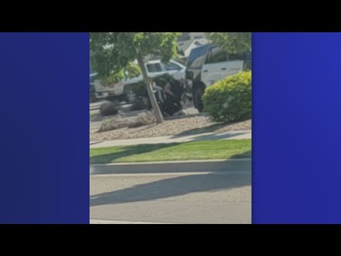 Meridian Police respond to video showing officer punching suspect