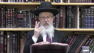 הגאון הרב אברהם יוסף שליט"א מה שיעור כזית למצה, והאם חולה צליאק חייב באכילת מצה בליל בסדר (הערוץ של הרב אברהם יוסף) - התמונה מוצגת ישירות מתוך אתר האינטרנט יוטיוב. זכויות היוצרים בתמונה שייכות ליוצרה. קישור קרדיט למקור התוכן נמצא בתוך דף הסרטון