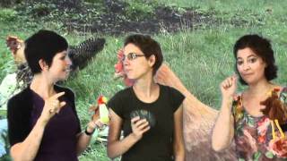 Boer wat zeg je van mijn kippen