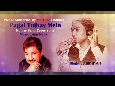 Pagal Tujhe Main Kar Dunga| Kumar Sanu| Cover By Aamir Ali