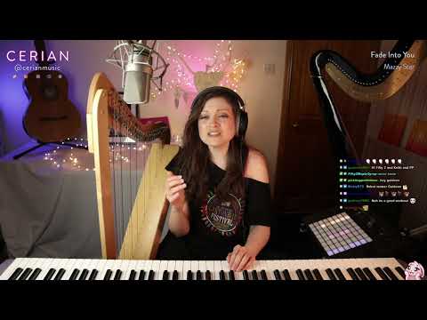 Fade Into You Mashup (live looped cover by CERIAN)