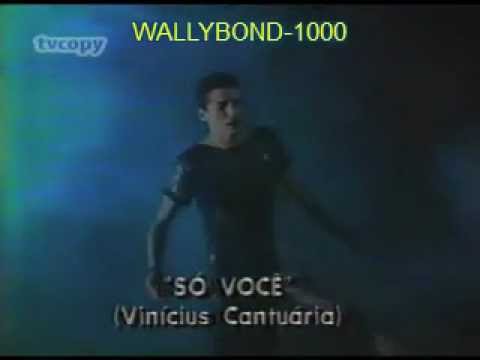 SO VOCÊ-VINICIUS CANTUÁRIA-VIDEO ORIGINAL 1984( HQ )