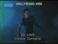 SO VOCÊ-VINICIUS CANTUÁRIA-VIDEO ORIGINAL 1984( HQ )