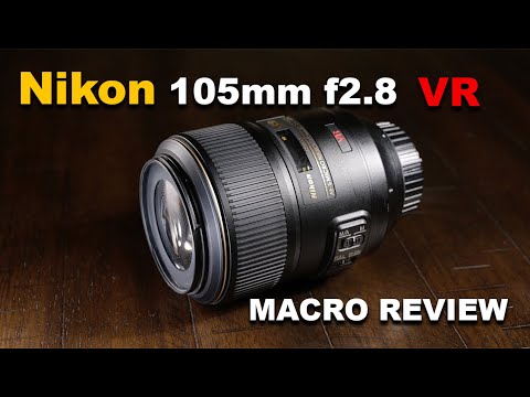 Video thumbnail for Video Review 3