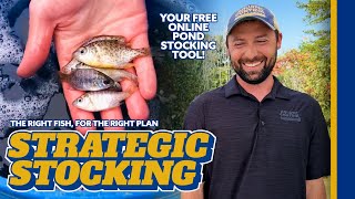What Fish Should You Stock | Free Online Pond Stocking Tool (Custom Plan in Minutes)