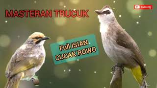 Download lagu MASTERAN TRUCUK FULL ISIAN CUCAK ROWO||TRUCUK RASA CUCAK ROWO mp3