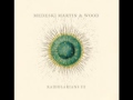 Medeski Martin & Wood - Kota - born2beblue Medeski Martin & Wood - Kota