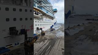 Sun Princess Balcony cabin 10317 Everything you need to know #cruiseship #cruise #cruiselife #travel