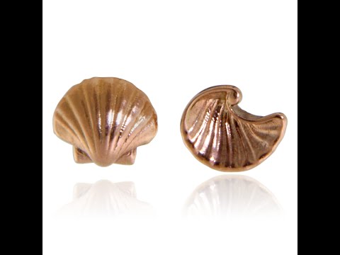 Cercei Stud Aur Roz 14k Scoici - Armonie marina