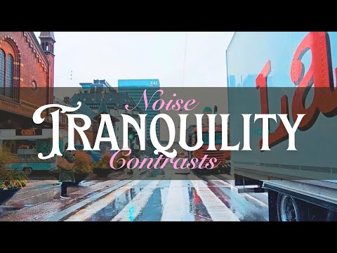 Contrasts in Life - City Noise vs. Nature Mindfulness