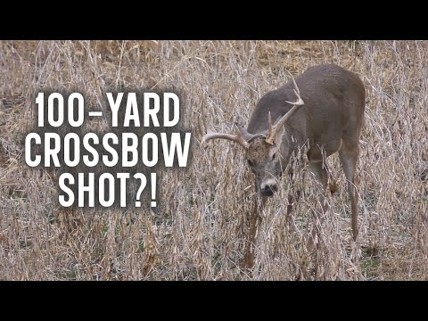 Can Crossbows Shoot 100 Yards?