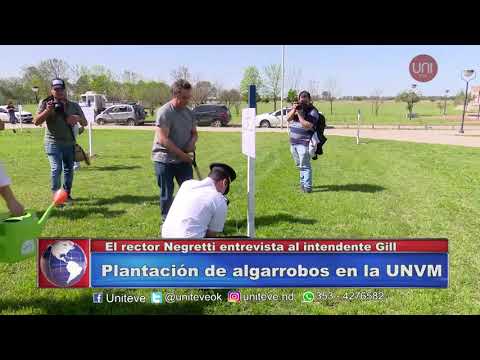 Se plantan 150 algarrobos