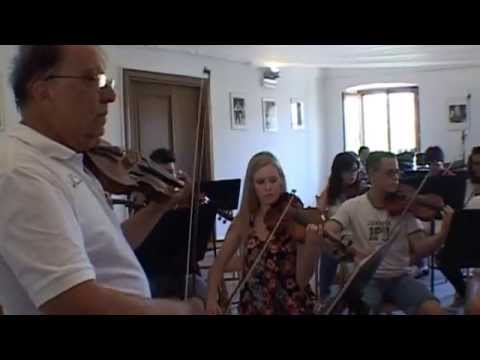Formazione dell'Ensemble d'Archi Internazionale Giovanile F.Fenaroli