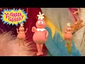 Animals School Double Episode Yo Gabba Gabba Cartoons For Kids