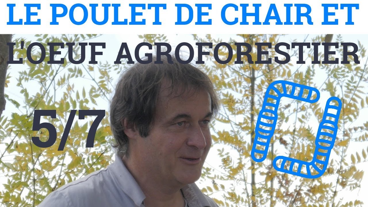5/7 - Alain CANET - Le Poulet de Chair et l'Oeuf Agroforestier : Modèles Agroforestiers