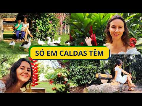 O jardim perfeito em Caldas Novas