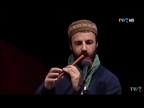 Trei parale - Bat-o Sfântu' de lupoaie (@Drumul lui Leşe)