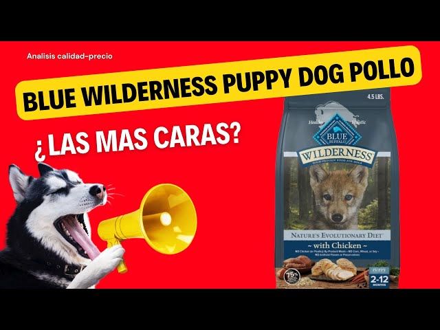 Vídeo relacionado con Blue Buffalo Wilderness - Alimento seco para Perros Adultos Alto en proteínas con Pollo Real, sin Granos, Fabricado en los Estados Unidos con Ingredientes Naturales, Pollo, Bolsa de 24 Libras