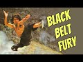 Wu Tang Collection - Black Belt Fury (Subtitulado en Español)