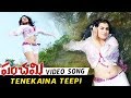 Panchami Full Video Songs Tenekaina Teepi Video Song Archana