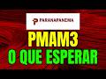 PMAM3 PARANAPANEMA Vale a Pena? Well Investidor 