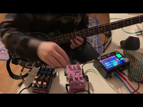 First taste of Chase Bliss Mood mk2