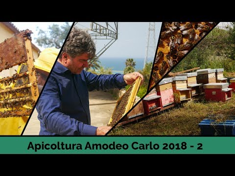 Apicoltura Amodeo Carlo 2018 - part 2 - Sicilië, Italië [NL+ENG subtitles with information]