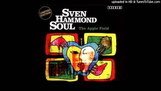 Sven Hammond Soul- Smack My Bitch Up