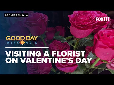 Good Day Wisconsin is Live at Memorial Florists & Greenhouses in Appleton!