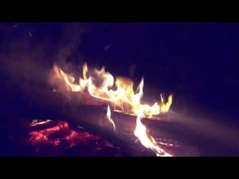 Bass Aliens party with DJ Antenna