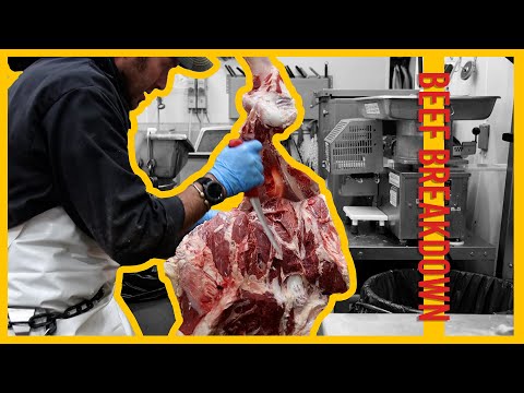 Beef Breakdown - Front Shoulder - Grain Finished