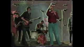 HALF JAPANESE LIVE IN HELL, WASHINGTON DC, W/ DON FLEMING