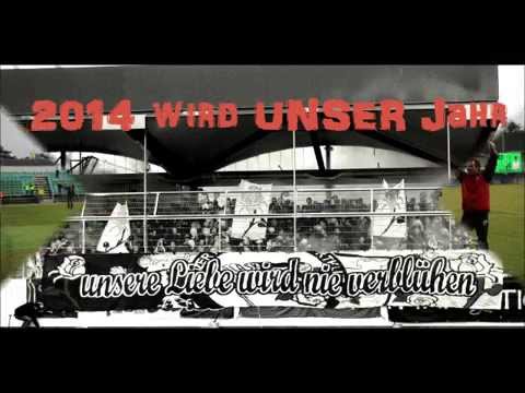 Alle auf nach Pasching !!!