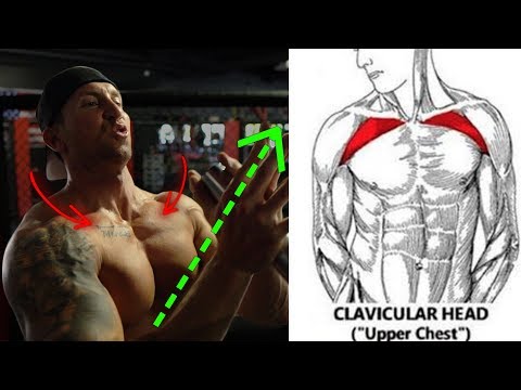 5 Forgotten Upper Chest Exercises (NO BENCH NEEDED!) Video