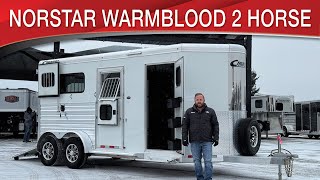 A preview image of the linked video showcasing 2025 Cimarron Norstar Warmblood 2HBP