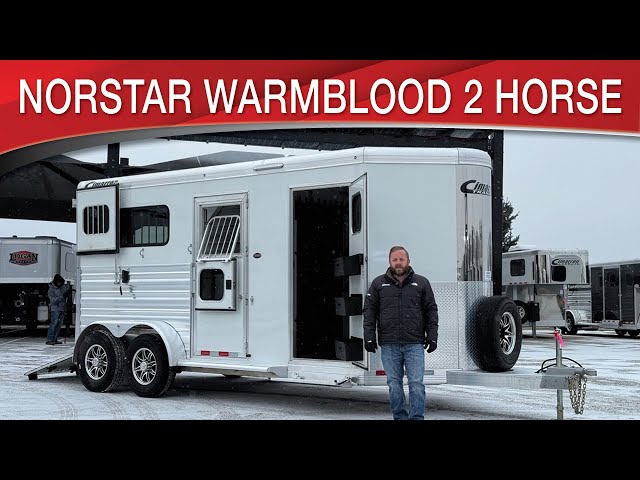 Preview image of Cimarron Norstar Warmblood 2 Horse Bumper Pull youtube video