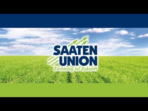 Saaten-Union: Züchtung ist Zukunft