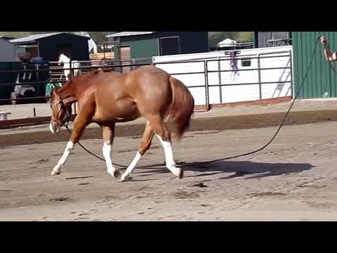 The Ultimate Kruzer 2