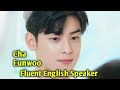 Cha Eunwoo Fluent In Speaking English