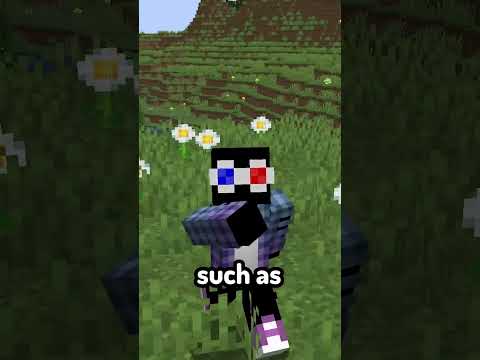 The COOLEST Feature in Minecraft