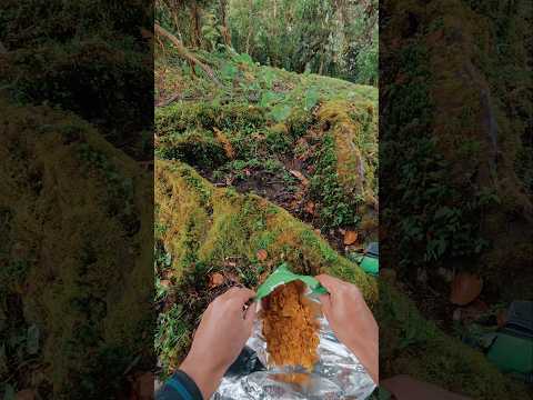 Sendero, sudor y sabor | Poas de Alajuela #costarica #hiking #vlog #nature